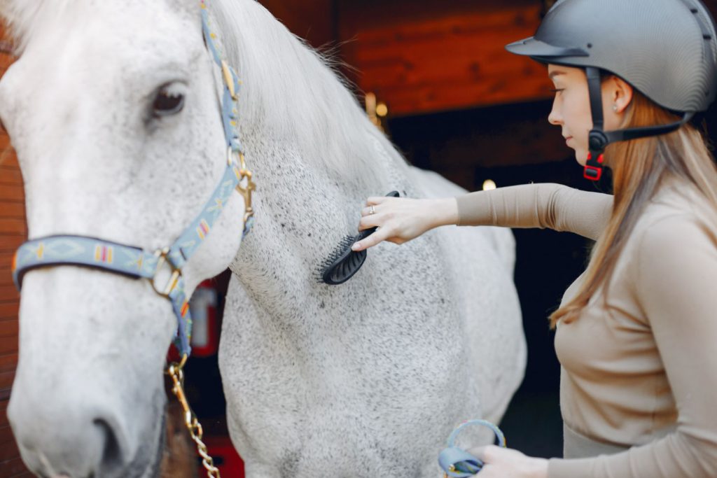 Ochrona i dobrostan koni są sprawami niezwykle istotnymi dla wszystkich miłośników tych szlachetnych zwierząt.